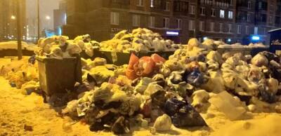 Почему в Петербурге произошел «мусорный коллапс». Версии регеоператора и участников рынка