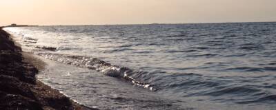 Эксперты ИнБЮМ РАН выявили и оценили основу пищевой цепочки в глубинах Черного моря