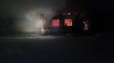 Пожар уничтожил дом в воронежском селе: пострадал мужчина