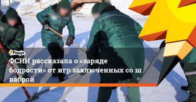 Александр Калашников - ФСИН рассказала о«заряде бодрости» отигр заключенных сошваброй - ridus.ru - Саратов