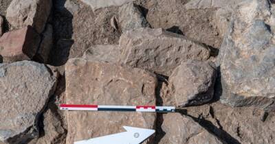 Геймеры бронзового века. Археологи показали, как выглядит "настолка" возрастом 4 тыс. лет