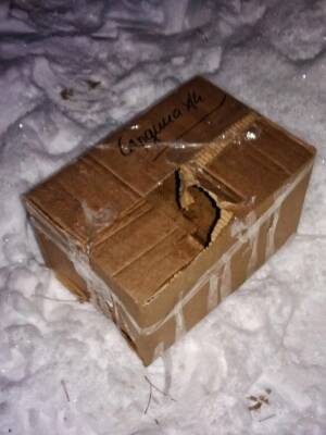 Кота в заклеенной картонной коробке нашли в лесу под Дзержинском
