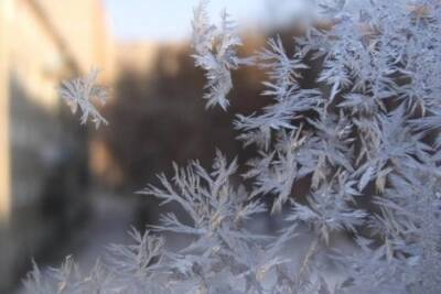 Арктический холод: синоптик предупредил украинцев о 20-градусных морозах