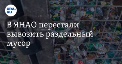 В ЯНАО перестали вывозить раздельный мусор. Фото