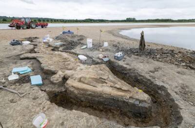 В Британии обнаружили скелет «морского дракона», которому 180 млн лет