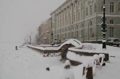Рекорд этой зимы: высота снежного покрова в Петербурге достигла 37 см