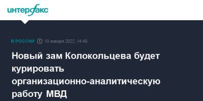Новый зам Колокольцева будет курировать организационно-аналитическую работу МВД