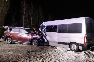 В масштабном ДТП на Черниговщине пострадали 11 человек