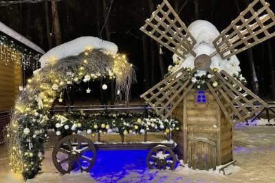 11 января в Рязанской области ожидается небольшой снег и до -10 градусов