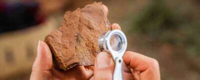 В «мертвом сердце» Австралии найдены окаменелости флоры и фауны эпохи миоцена