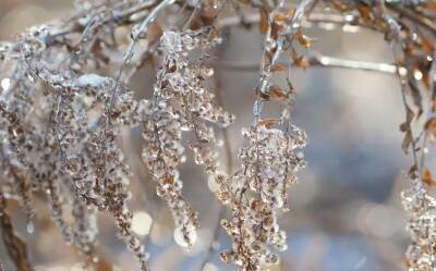 Украину скуют лютые морозы: стало известно, какой будет погода на Старый Новый год – прогноз синоптиков