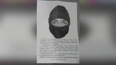 Грабителя с пистолетом разыскивают в Воронежской области