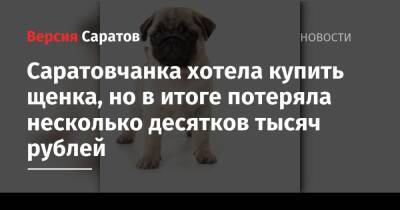 Саратовчанка хотела купить щенка, но в итоге потеряла несколько десятков тысяч рублей
