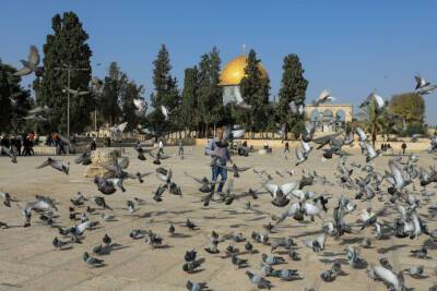 Еврей переоделся мусульманином, чтобы молиться на Храмовой горе
