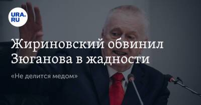 Жириновский обвинил Зюганова в жадности. «Не делится медом»