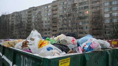 Неубранные кучи мусора привели к появлению крыс во дворах Петербурга