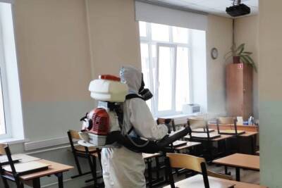 В Новгородской области продезинфицировали все школы перед возвращением учеников с каникул
