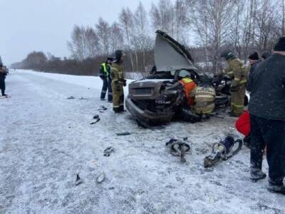 В аварии на трассе М7 в Нижегородской области погибли два человека