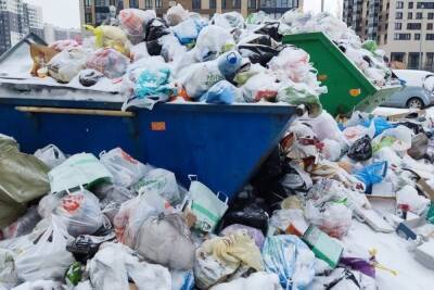 Горы мусора в петербургских дворах не уменьшились с началом рабочей недели