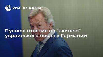 Сенатор Пушков назвал ахинеей слова посла Украины в Германии Мельника о поставках оружия