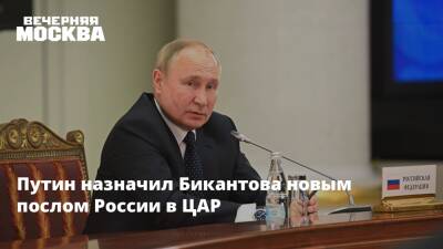 Путин назначил Бикантова новым послом России в ЦАР