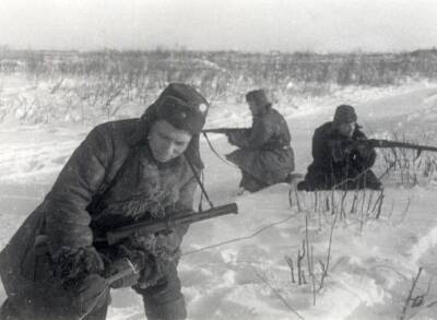Что на самом деле партизаны помогли победить немцев под Сталинградом - Русская семерка