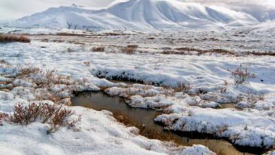 На Ямале мужчина четыре дня блуждал в тундре в 40-градусный мороз