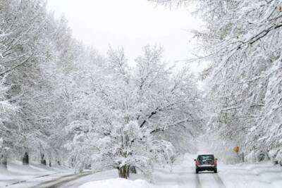 Ударит до -15 градусов: после снегопада Киев ожидает резкое похолодание