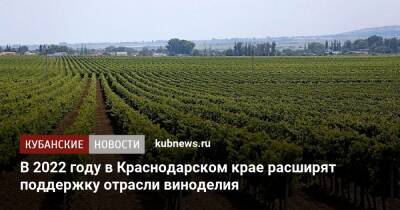 В 2022 году в Краснодарском крае расширят поддержку отрасли виноделия