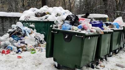 Петербургская инспекция возбудила более 100 административных дел из-за проблем с уборкой дворов