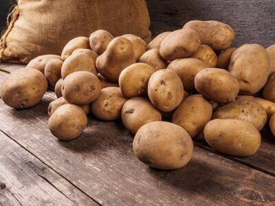 Сколько будет стоить картофель: прогноз повышения цен на весну 2022 года