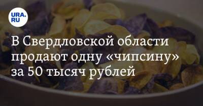 В Свердловской области продают одну «чипсину» за 50 тысяч рублей. Фото