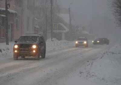 Любимов призвал рязанцев отказаться от личного транспорта из-за снегопада