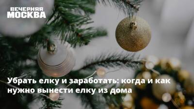 Убрать елку и заработать: когда и как нужно вынести елку из дома - vm.ru