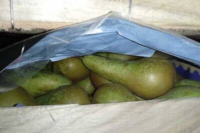 На Смоленском участке границы задержано 60 тонн польских груш