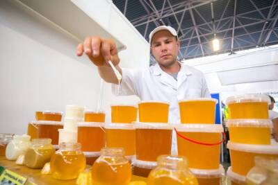 В закон "О пчеловодстве" внесли понятие натурального меда