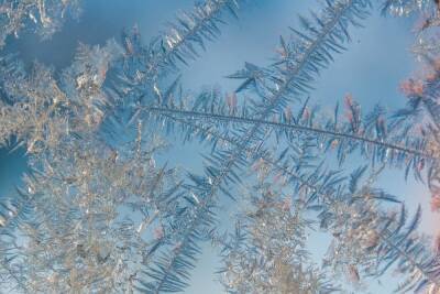 11 января мороз в Смоленске усилится