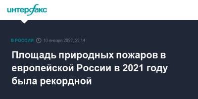 Площадь природных пожаров в европейской России в 2021 году была рекордной