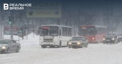 В Рыбной Слободе отменили все автобусы до Казани — видео