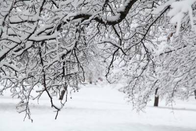 Повышенное атмосферное давление и до -13 градусов мороза будет в Туле 11 января
