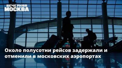 Около полусотни рейсов задержали и отменили в московских аэропортах