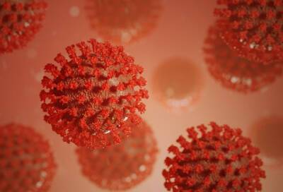 Ученые из Лондона выяснили, что Т-клетки после обычной простуды могут защитить от заражения коронавирусом