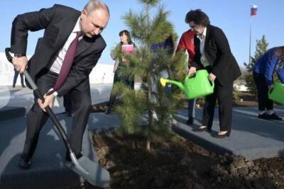 СМИ: вместо парка Путин достроит в Петербурге судебный квартал