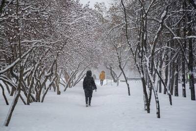 Небольшой снег и похолодание до -10 градусов ожидают синоптики в Красноярске 11 января
