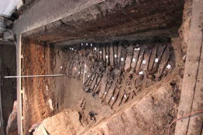 В Волгоградской области археологи обнаружили десять древних курганов