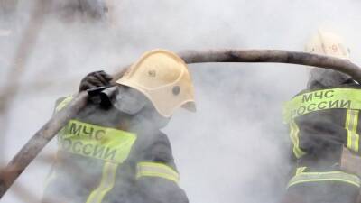 Житель Ялты попытался сбросить лестницу спасателей во время пожара