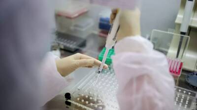 За сутки в Узбекистане выявили 425 случаев коронавируса