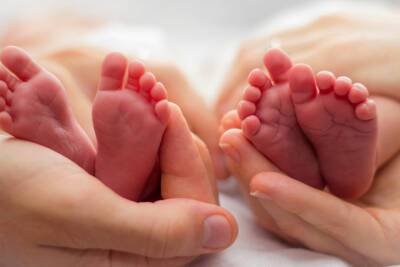 В Маловишерском районе зарегистрировали рождение двойняшек