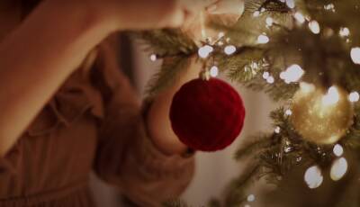 Как правильно убрать новогоднюю елку: церковные правила и народные приметы, простые и эффективные способы
