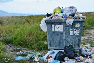 Более ста СНТ в Ленобласти заключили договоры на вывоз мусора